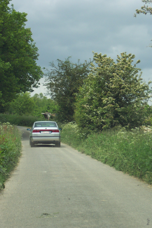 cosanostra_ardennenrit 034