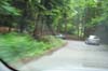 cosanostra_ardennenrit 039
